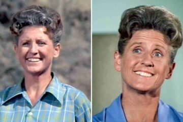 Ann B Davis Net Worth