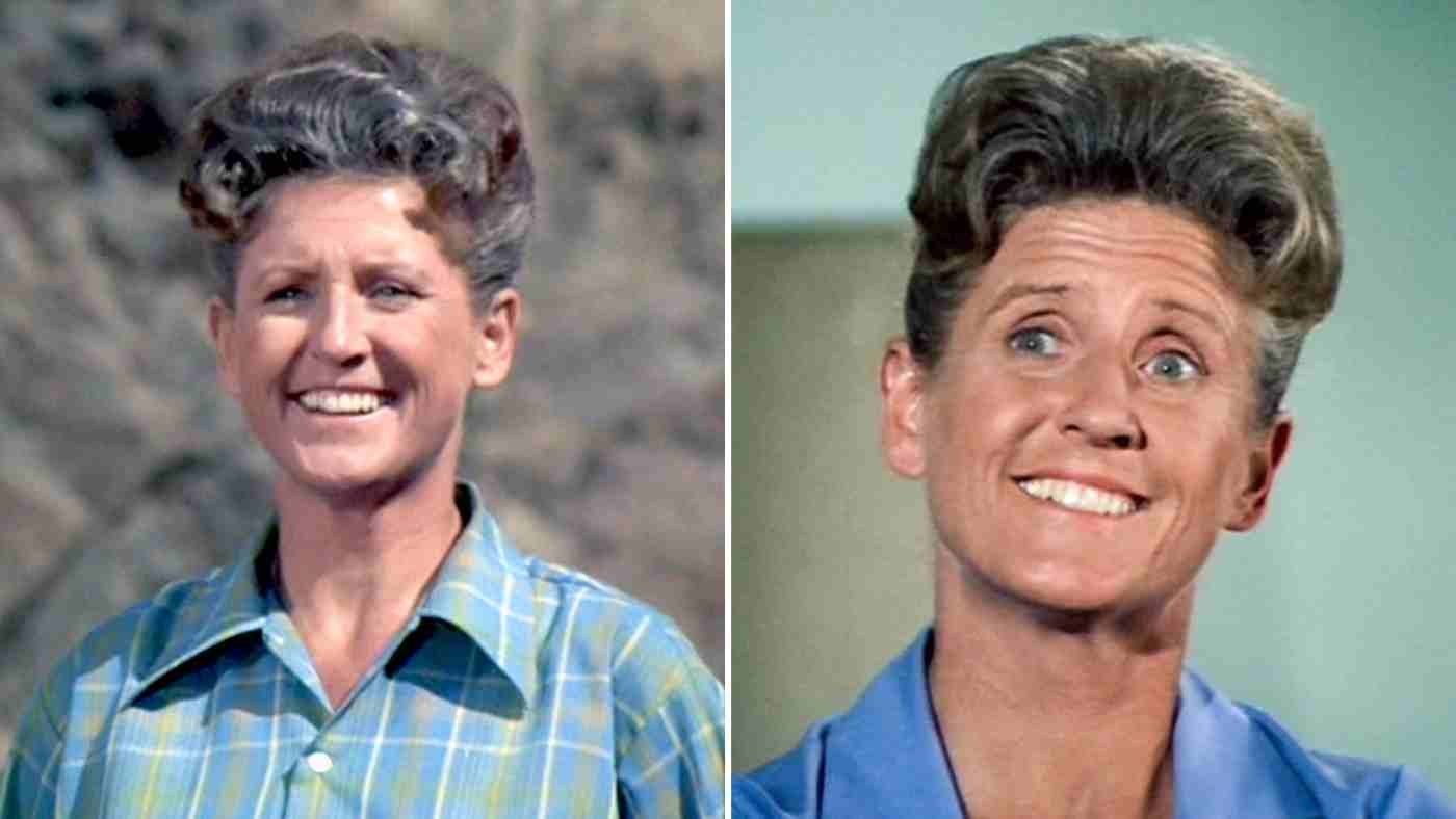 Ann B Davis Net Worth